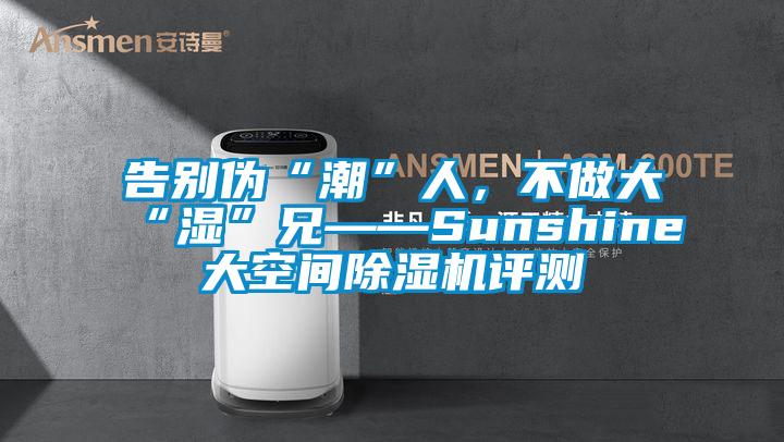 告别伪“潮”人，不做大“湿”兄——Sunshine大空间除湿机评测