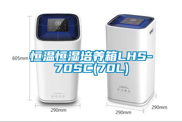 恒温恒湿培养箱LHS-70SC(70L)