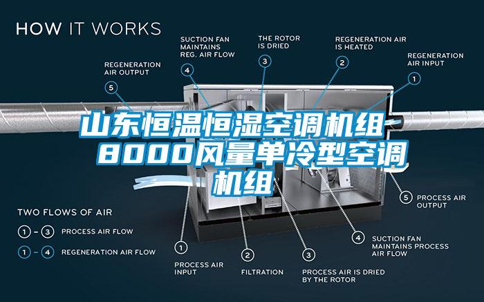 山东恒温恒湿空调机组  8000风量单冷型空调机组