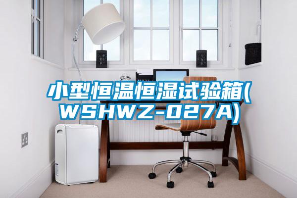 小型恒温恒湿试验箱(WSHWZ-027A)