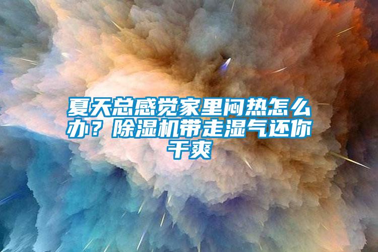 夏天总感觉家里闷热怎么办？除湿机带走湿气还你干爽