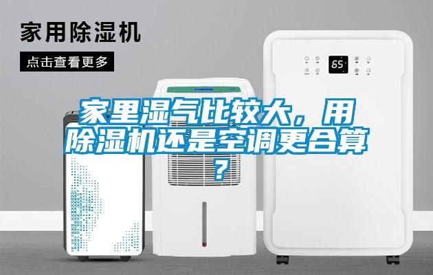 家里湿气比较大，用除湿机还是空调更合算？