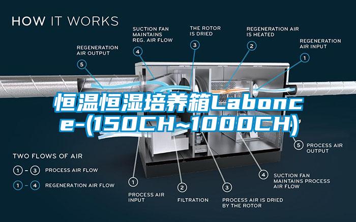 恒温恒湿培养箱Labonce-(150CH~1000CH)