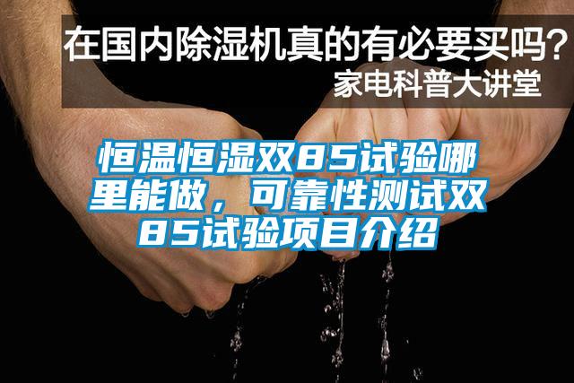 恒温恒湿双85试验哪里能做，可靠性测试双85试验项目介绍