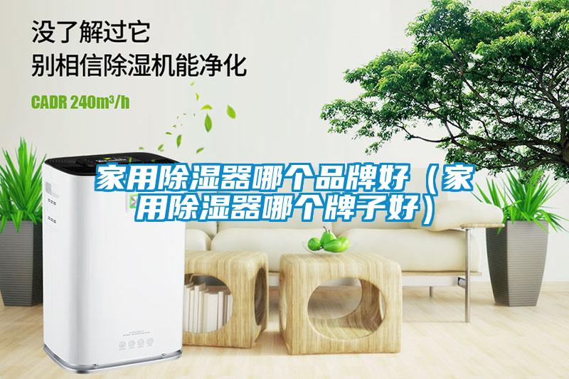 家用除湿器哪个品牌好（家用除湿器哪个牌子好）