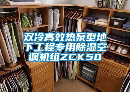 双冷高效热泵型地下工程专用除湿空调机组ZCK50