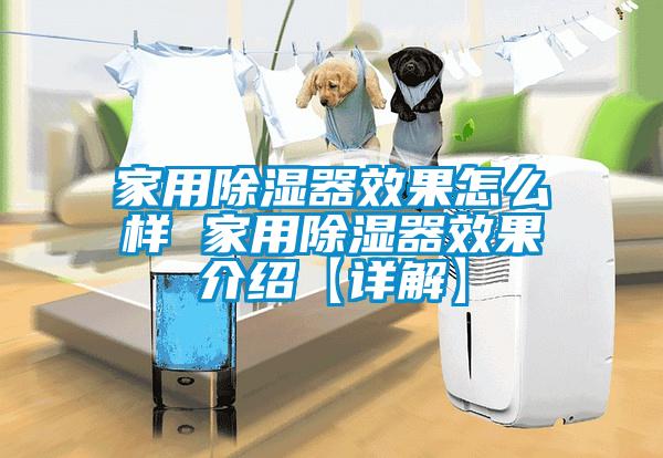 家用除湿器效果怎么样 家用除湿器效果介绍【详解】