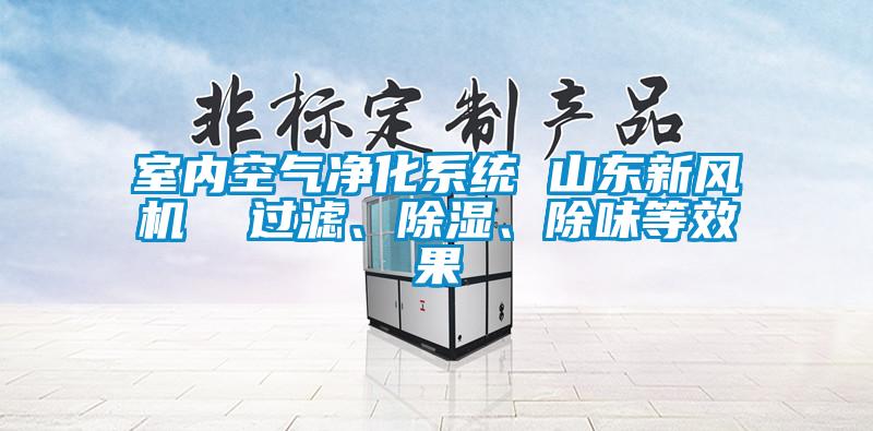 室内空气净化系统 山东新风机  过滤、除湿、除味等效果