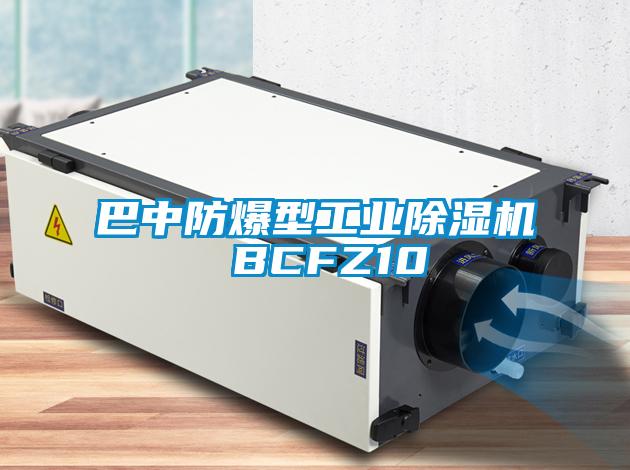 巴中防爆型工业除湿机 BCFZ10