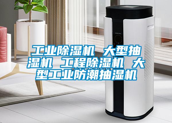 工业除湿机 大型抽湿机 工程除湿机 大型工业防潮抽湿机