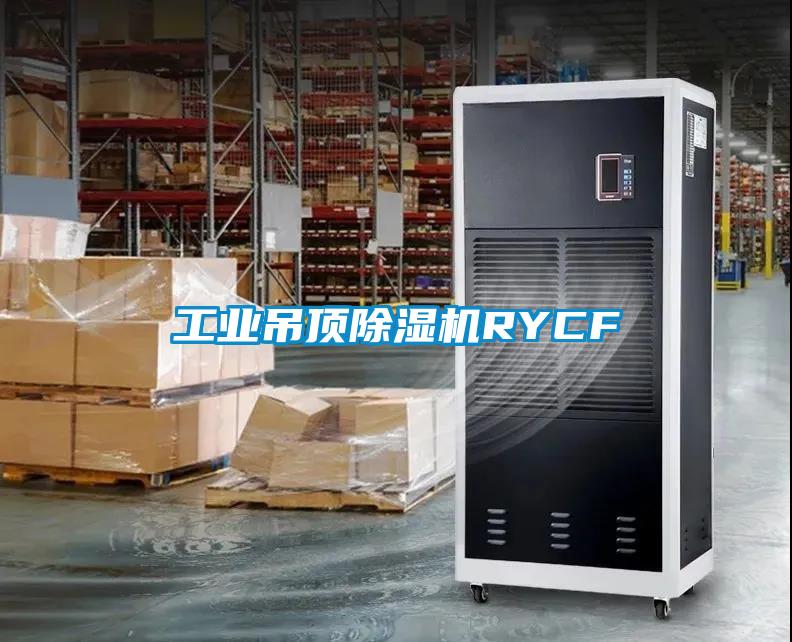 工业吊顶除湿机RYCF