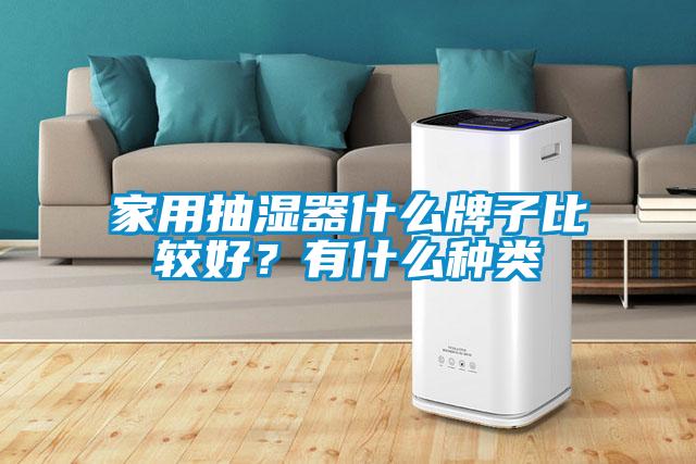 家用抽湿器什么牌子比较好？有什么种类