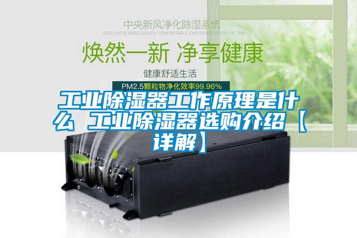 工业除湿器工作原理是什么 工业除湿器选购介绍【详解】