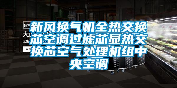 新风换气机全热交换芯空调过滤芯显热交换芯空气处理机组中央空调