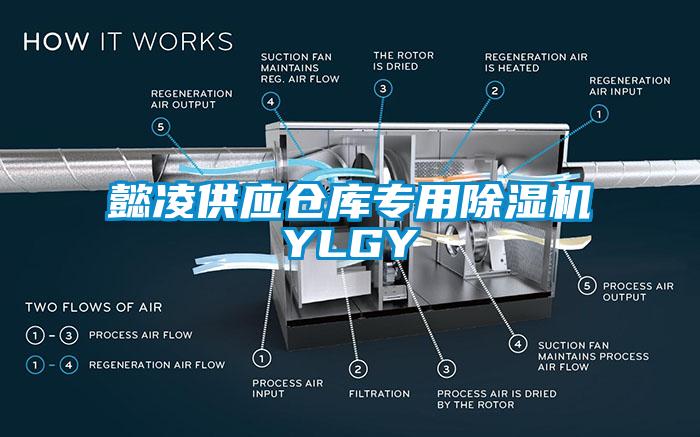 懿凌供应仓库专用除湿机YLGY