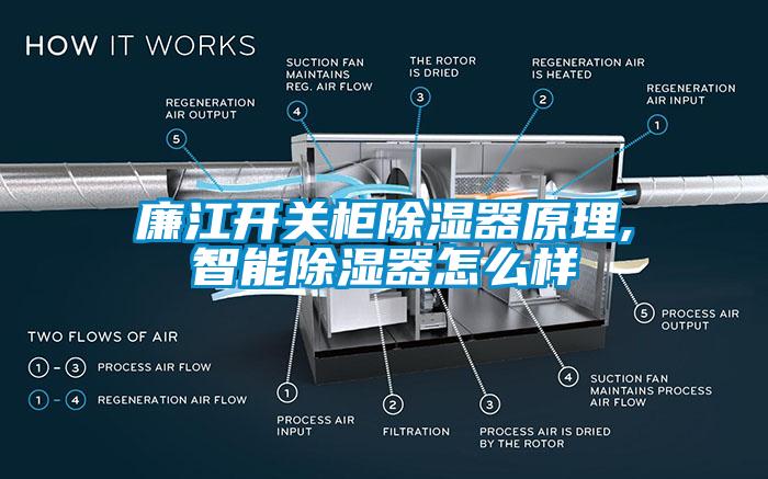 廉江开关柜除湿器原理,智能除湿器怎么样