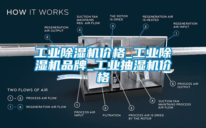 工业除湿机价格_工业除湿机品牌_工业抽湿机价格