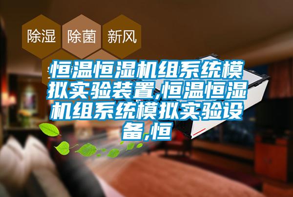 恒温恒湿机组系统模拟实验装置,恒温恒湿机组系统模拟实验设备,恒