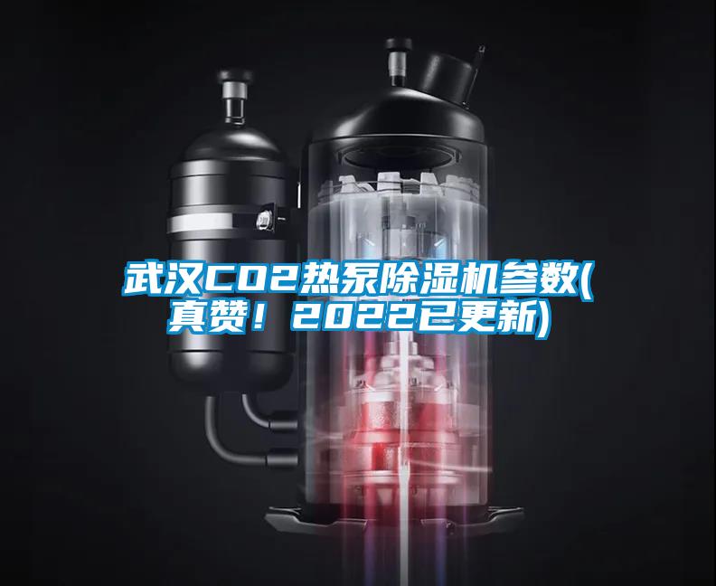 武汉CO2热泵除湿机参数(真赞！2022已更新)