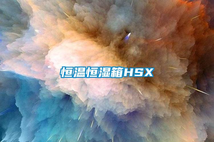 恒温恒湿箱HSX