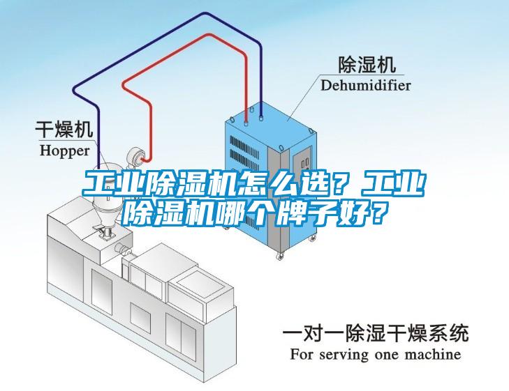 工业除湿机怎么选？工业除湿机哪个牌子好？