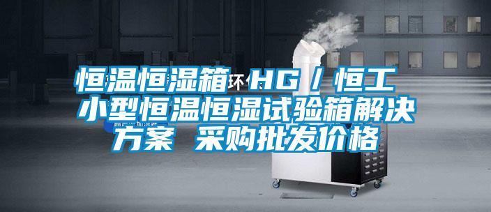 恒温恒湿箱 HG／恒工 小型恒温恒湿试验箱解决方案 采购批发价格