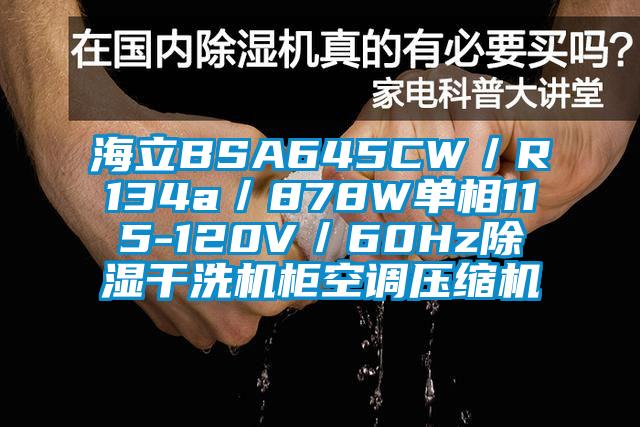 海立BSA645CW／R134a／878W单相115-120V／60Hz除湿干洗机柜空调压缩机