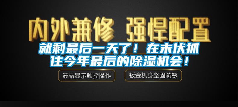 就剩最后一天了！在末伏抓住今年最后的除湿机会！