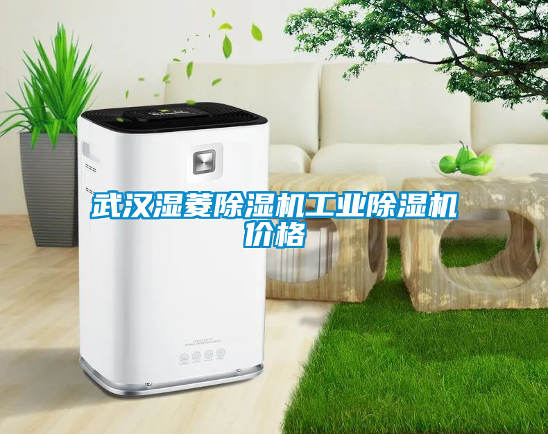 武汉湿菱除湿机工业除湿机价格