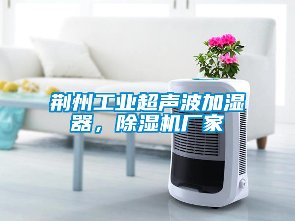 荆州工业超声波加湿器，除湿机厂家