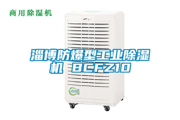 淄博防爆型工业除湿机 BCFZ10