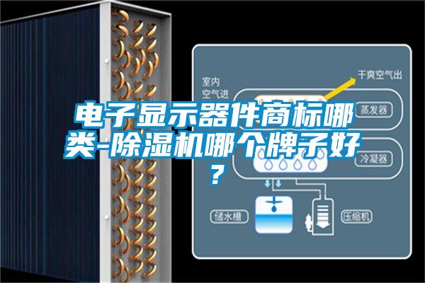 电子显示器件商标哪类-除湿机哪个牌子好？