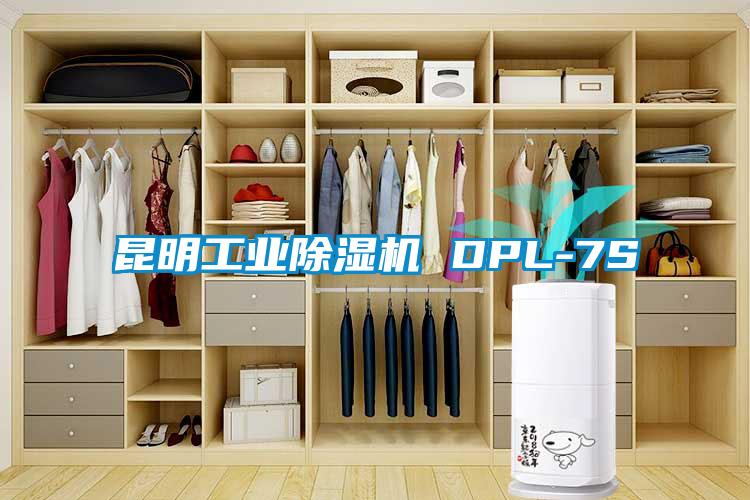 昆明工业除湿机 DPL-7S