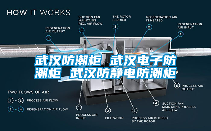 武汉防潮柜 武汉电子防潮柜 武汉防静电防潮柜