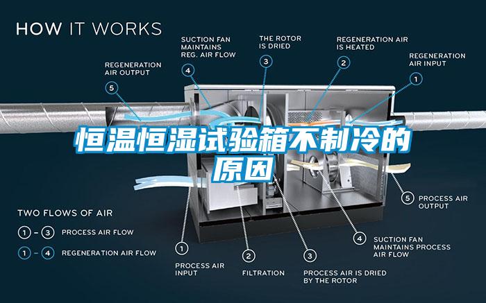 恒温恒湿试验箱不制冷的原因