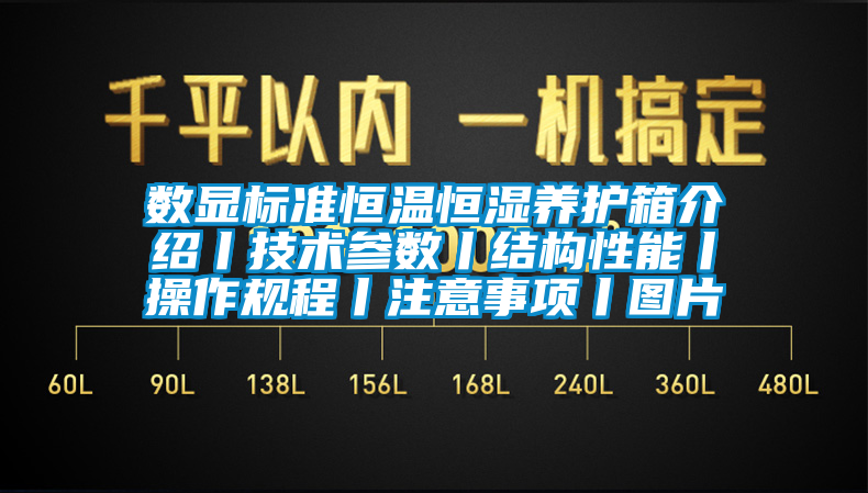 数显标准恒温恒湿养护箱介绍丨技术参数丨结构性能丨操作规程丨注意事项丨图片