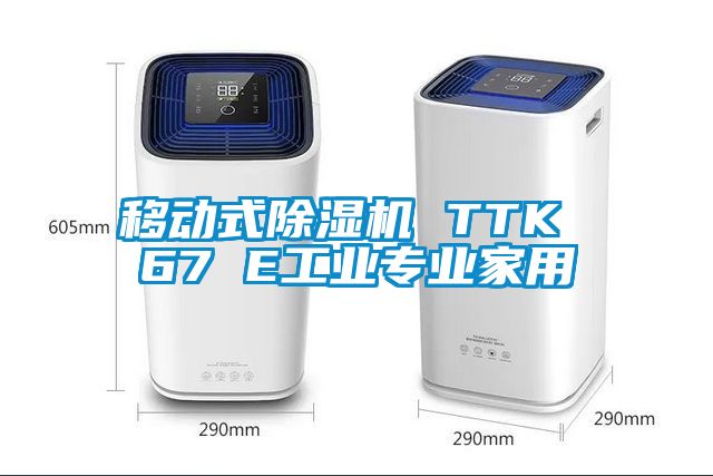 移动式除湿机 TTK 67 E工业专业家用