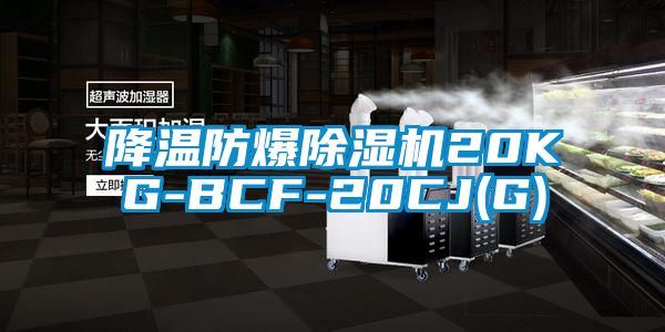 降温防爆除湿机20KG-BCF-20CJ(G)