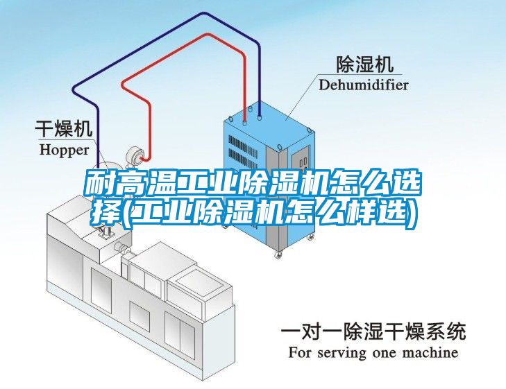 耐高温工业除湿机怎么选择(工业除湿机怎么样选)