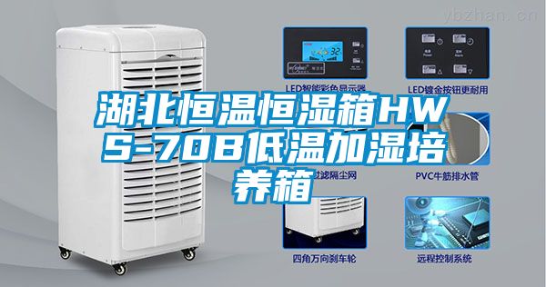 湖北恒温恒湿箱HWS-70B低温加湿培养箱