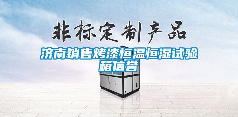 济南销售烤漆恒温恒湿试验箱信誉