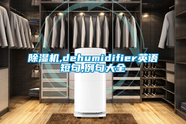 除湿机,dehumidifier英语短句,例句大全