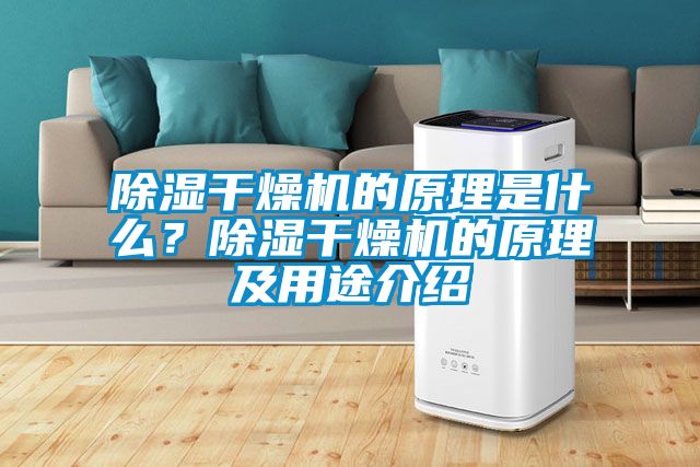 除湿干燥机的原理是什么？除湿干燥机的原理及用途介绍