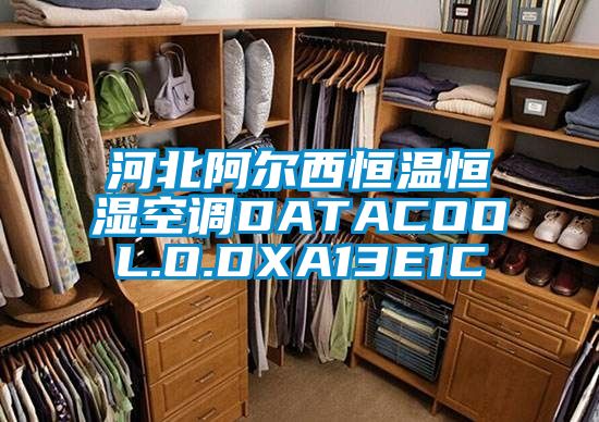 河北阿尔西恒温恒湿空调DATACOOL.O.DXA13E1C