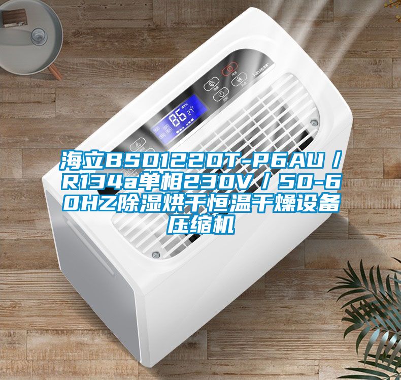 海立BSD122DT-P6AU／R134a单相230V／50-60HZ除湿烘干恒温干燥设备压缩机