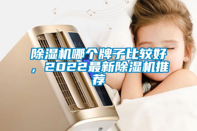 除湿机哪个牌子比较好，2022最新除湿机推荐