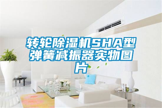 转轮除湿机SHA型弹簧减振器实物图片