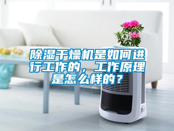 除湿干燥机是如何进行工作的，工作原理是怎么样的？