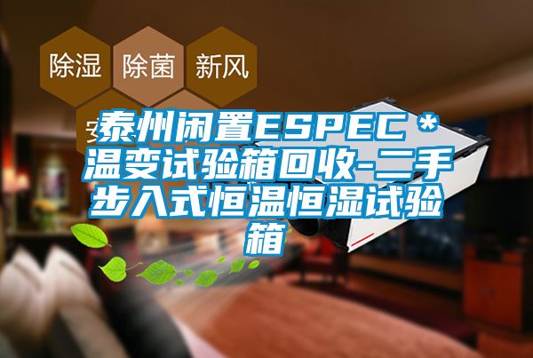 泰州闲置ESPEC＊温变试验箱回收-二手步入式恒温恒湿试验箱