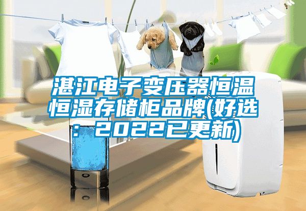 湛江电子变压器恒温恒湿存储柜品牌(好选：2022已更新)